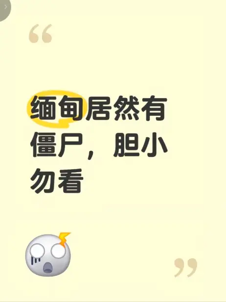 《缅甸僵尸出土事件》高清无删减版在线观看 - 缅北僵尸出土事件现场全程录像揭秘真相 - 《缅甸僵尸出土事件视频》最新完整版免费播放