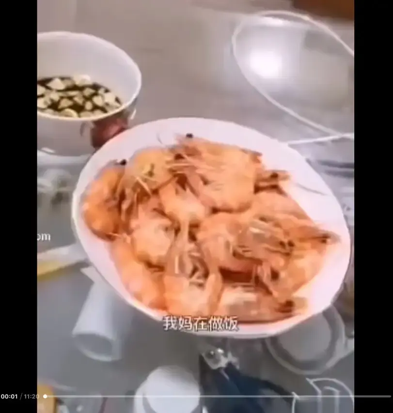 《大虾母子厨房完整版》高清视频免费在线看-大虾母子厨房完整版百度夸克迅雷网盘资源-猎奇视频梗揭秘来龙去脉
