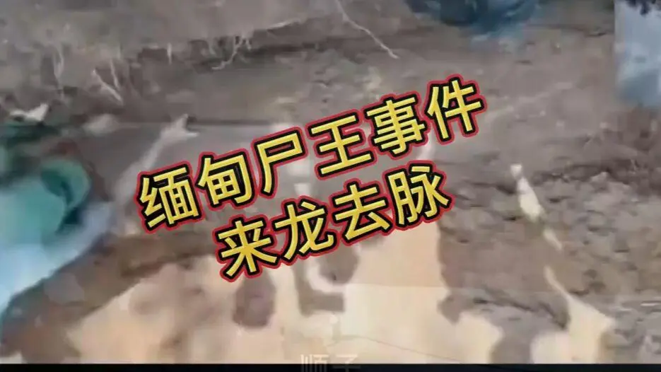 《缅甸僵尸出土事件视频》完整版资源在线观看免费播放 - 缅北僵尸出土事件始末原视频高清下载 - 诡异真相解密超清未删减全程录像